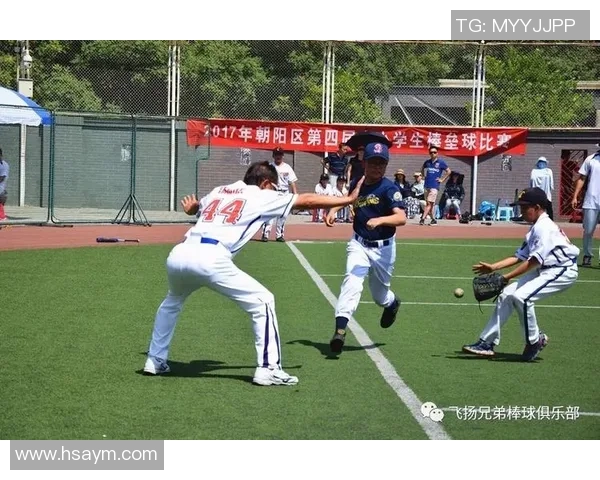 武汉羽毛球队在世界锦标赛中的辉煌历程与突破之路探秘