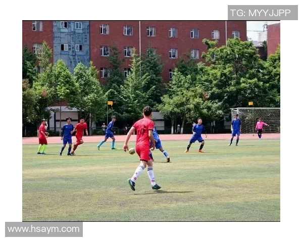 深圳排球队边路渗透战术解析与深度剖析